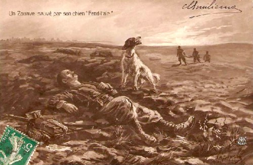 cartes postales anciennes,photo,illustration,guerre 14/18,grande guerre,chien,collection,brocante