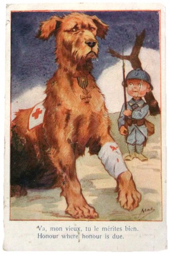 cartes postales anciennes,photo,illustration,guerre 14-18,grande guerre,chien,collection,brocante