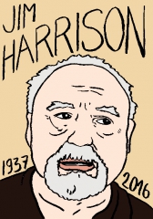 Jim Harrison, dessin, portrait, laurent Jacquy