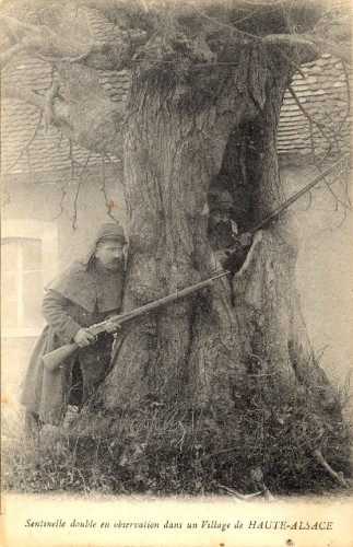 carte postale ancienne, arbre, grande guerre